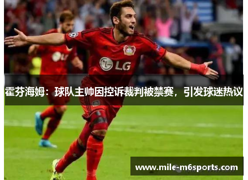 霍芬海姆：球队主帅因控诉裁判被禁赛，引发球迷热议